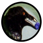 Email Question – Raven Messenger
